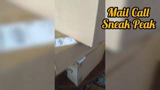 Mail Call Amazon Order & More!(SaluteYourShorts)