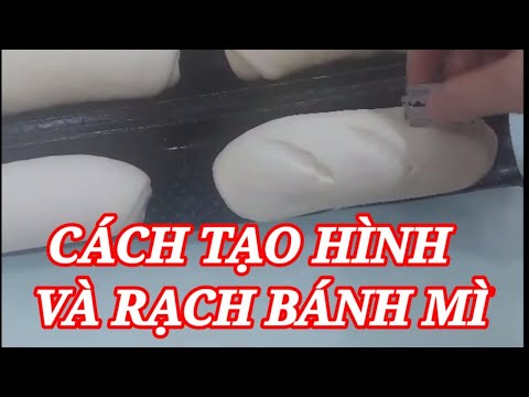 Video: Cách đối Phó Với Bọ Bánh Mì