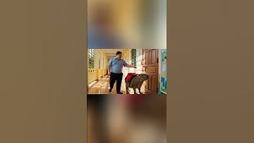 Mai dùng bóng nước treo cửa chờ Capy tới và cái kết #capybara