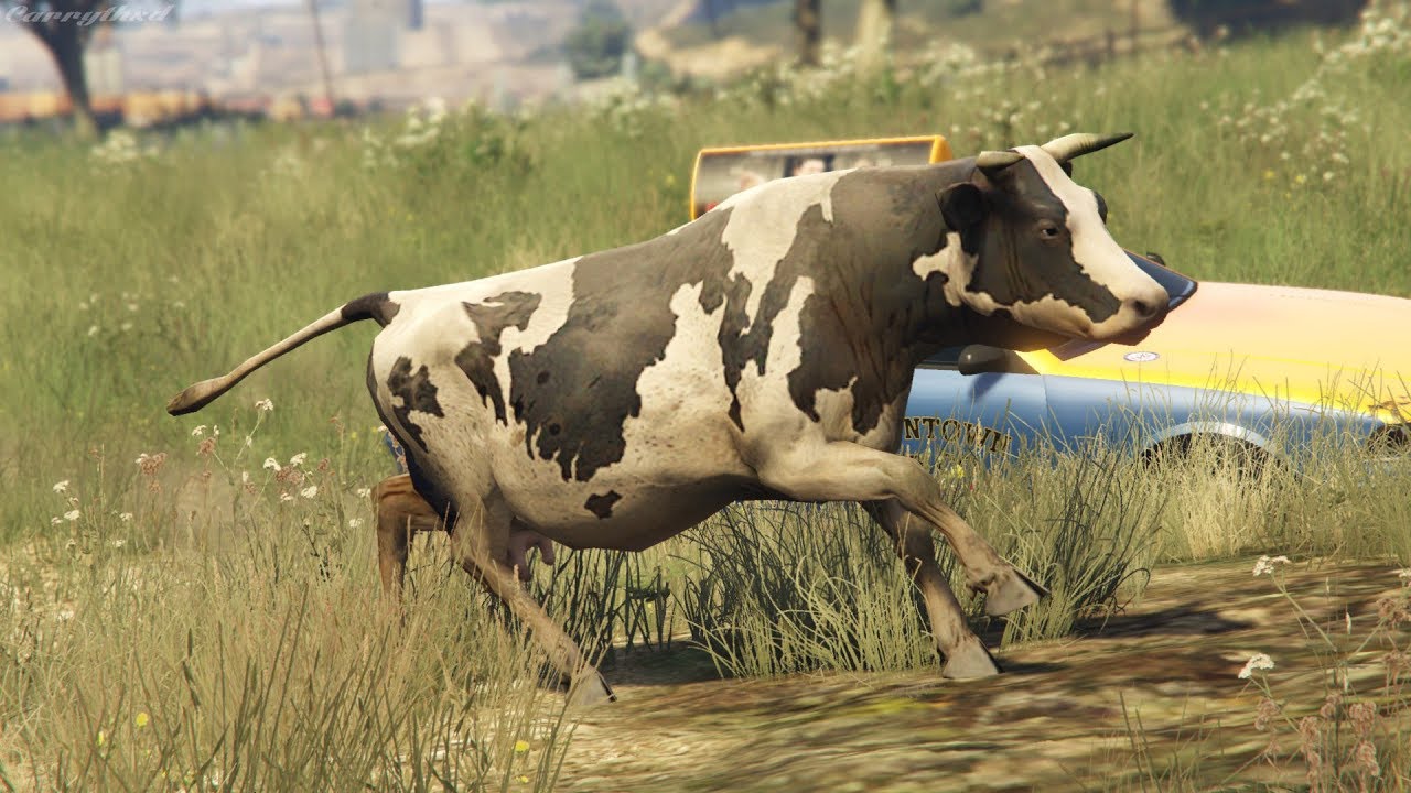 Gta 5 animals all фото 109