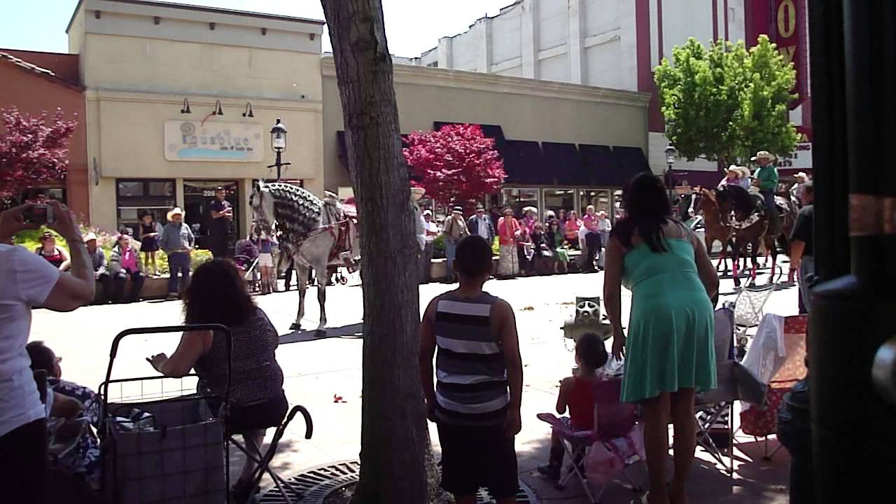 Salinas Horse Parade 5 YouTube