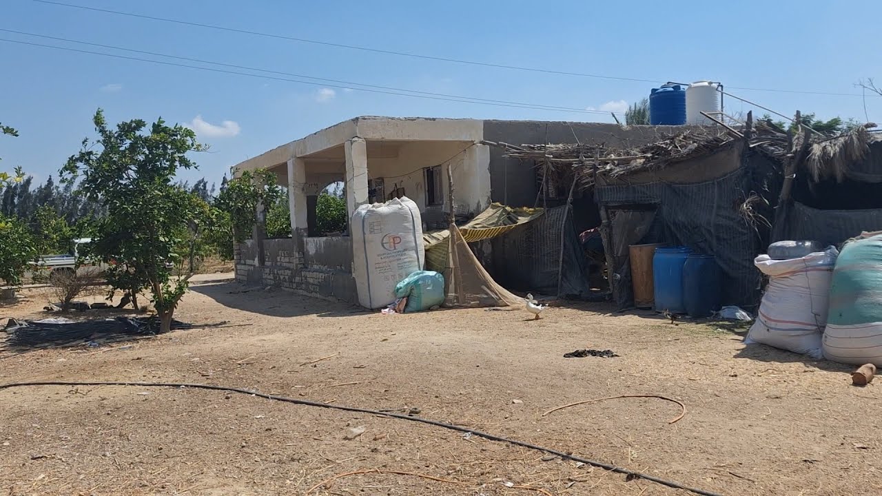 فرصة محترمة 5 فدان في وادي النطرون طريق مصر اسكندرية الصحراوي