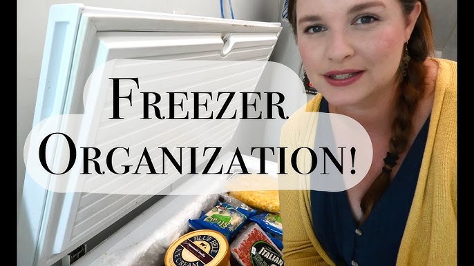 Deep Freezer Organization w/ Dollar Tree Bins 