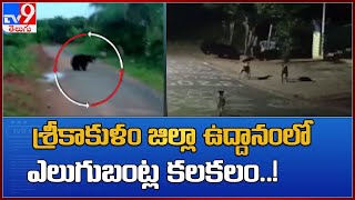 Srikakulam: There is a commotion of bears in Uddanam of Srikakulam district..! - TV9