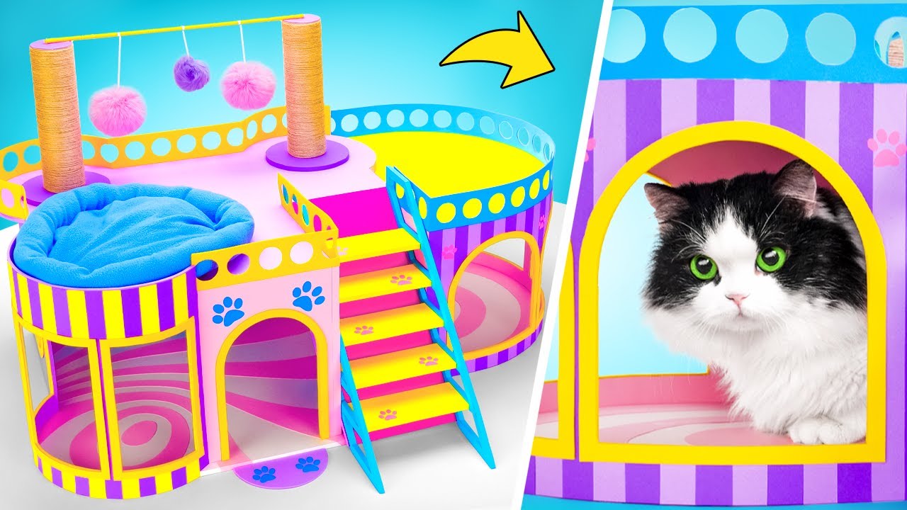 Comment fabriquer une maison parfaite pour chat 🐈🐾🏡