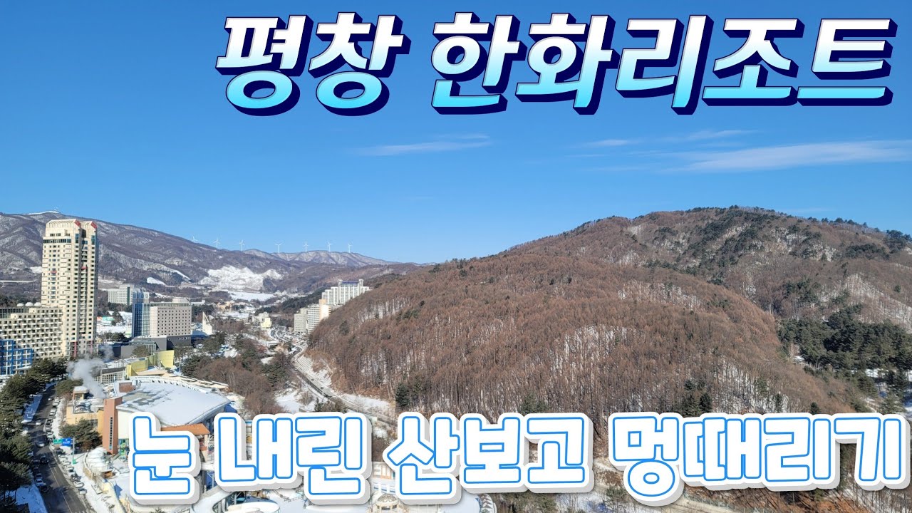 평창 한화리조트 / 스위트 베드 / 레드동 / 조식 부페