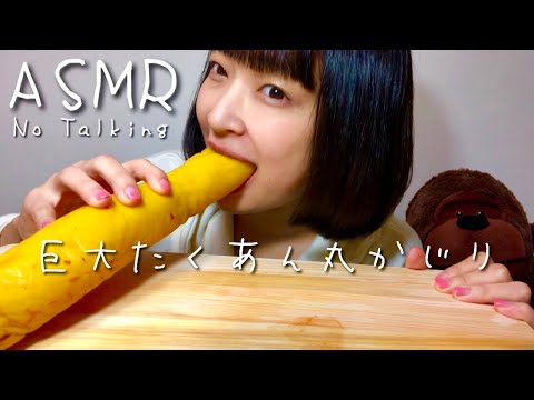 【ASMR/咀嚼音】巨大たくあん丸かじりする音~Big Japanese pickles~【Eating Sounds by Japanese girl】No Talking