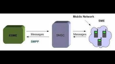 SMPP SMSC SUBMIT SM request response complete. PDU parameters values bytes order.SMPP client program