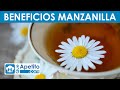 8 propiedades y beneficios de la manzanilla  queapetito