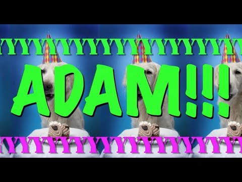 happy-birthday-adam!---epic-happy-birthday-song