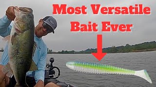 The Most Versatile Bait Ever!!!!!