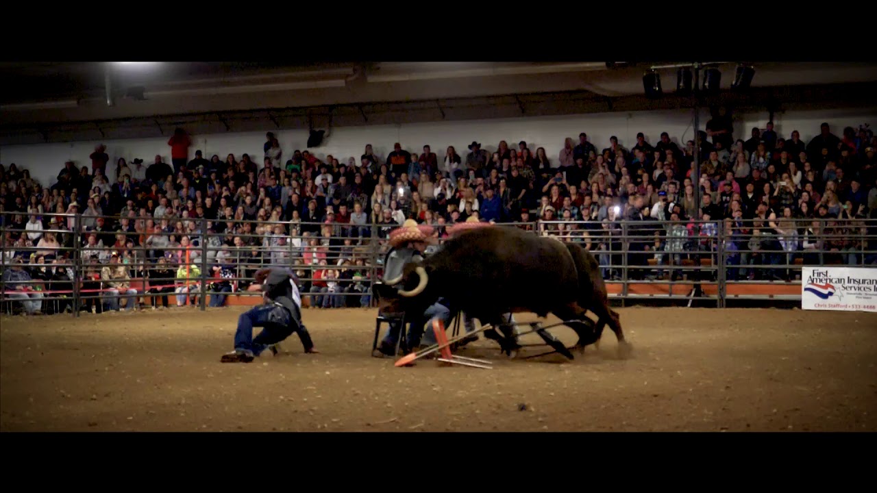 Rooster Riding Bull Rochester Bull Riding - YouTube