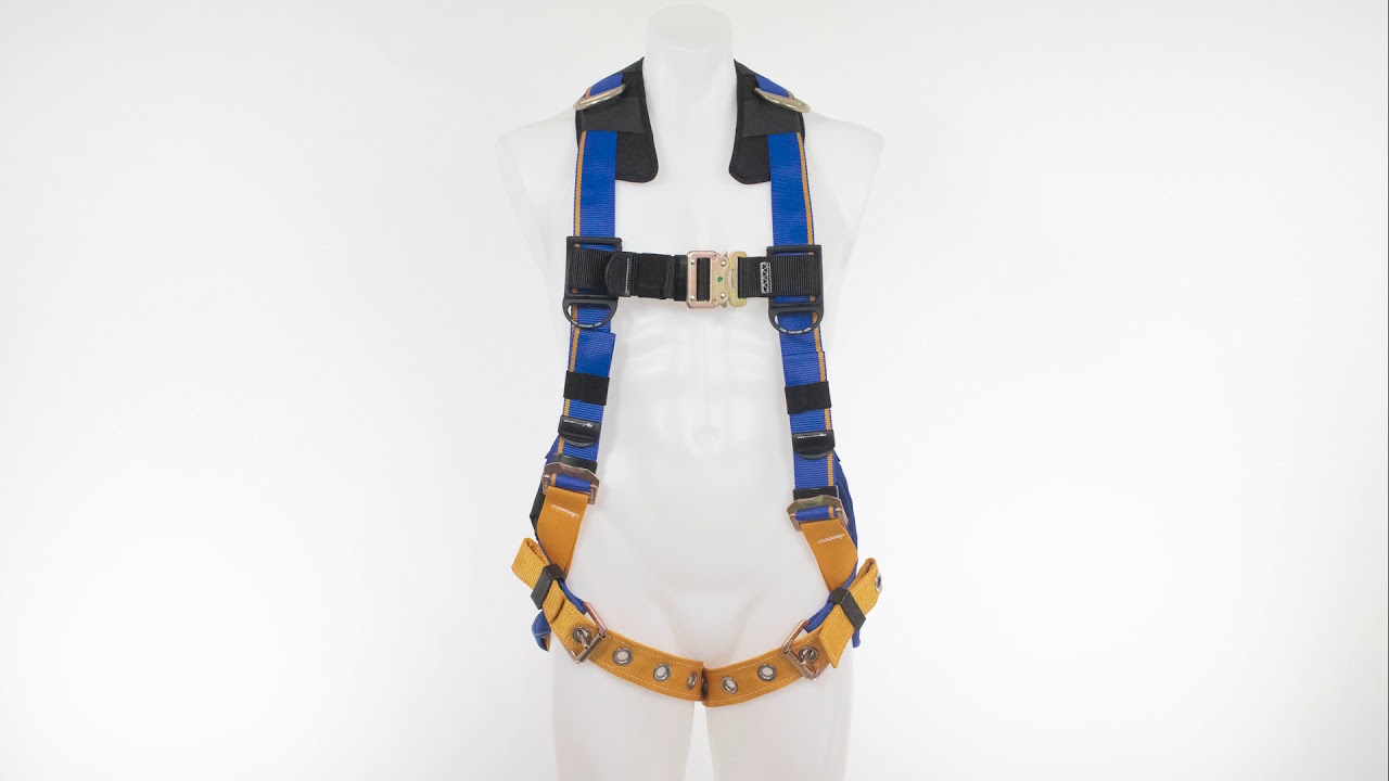 H142002 | Harnesses | Werner