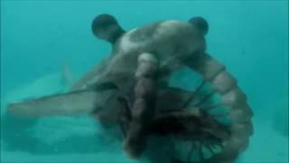 Walking With Monsters - Anomalocaris