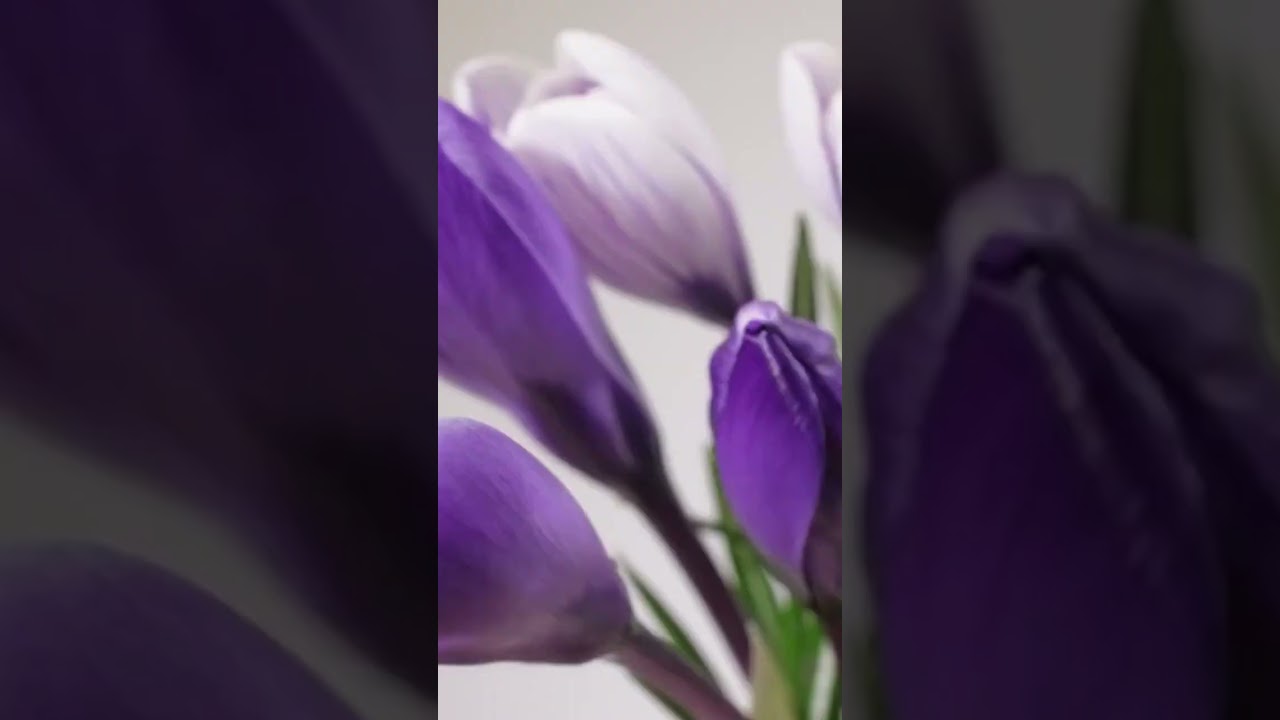 Natural Remedies: Top 3 Proven Herbs for Overcoming Depression