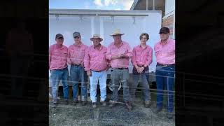 2025 ECM LIVESTOCK MOSSVALE WEANER SALE REPORR