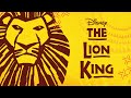 Disney the lion king i theater 11 zrich 2023 i trailer