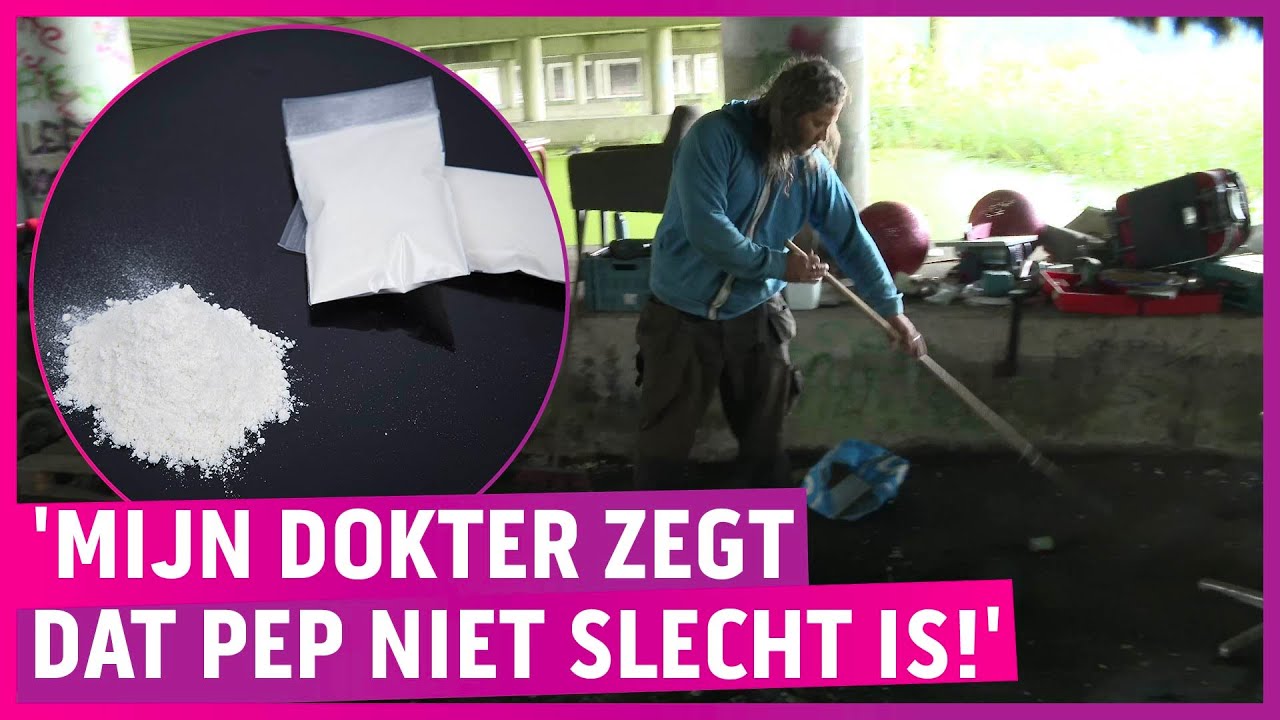 Alkmaar heeft nu ook stadsnomaden: 'Gaan we snuiven?'