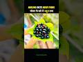 🍽️ Amazing Facts About Food 🤯 |  #facts #food #amazing #shorts #trending #ytshorts
