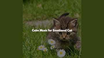 Refined Backdrops for Co-Working Space