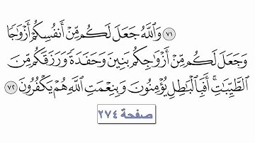 القرآن الكريم سورة النحل 16 معتز آقائي