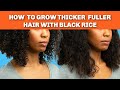 Treat Damage, Dry Hair. Bald Spots, Thinning Hair, Dry Scalp  + Detangle | Khichi Beauty