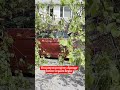 Documenting Property Damage for Florida Claims