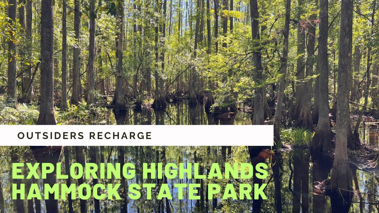 Exploring Highlands Hammock State Park- Historical Ecological Beauty