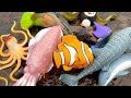 Sea animal educational toys collection