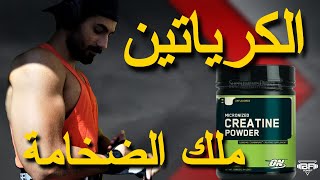 الكرياتين و إجابات جميع الاسئلة | الجزء الثاني