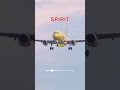 Spirit Gets TROLLED By Military Helicopter ЁЯШВ Spirit Gets TROLLED By Military Helicopter ЁЯШВ