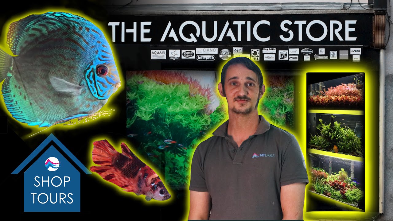The MOST SCAPES in the UK?! Aquatic Store Bristol Shop Tour Hidden