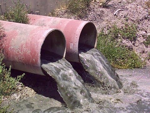 Video: Kanalizaciona Voda Ušla Je U Jezero Ermoshkino