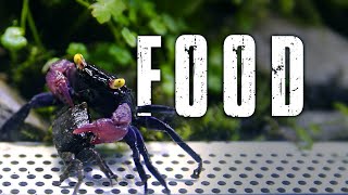 What to Feed Vampire Crabs - What do Vampire Crabs Eat?