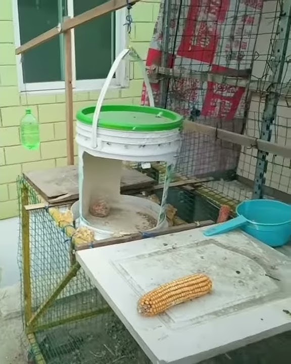 Porno uyatchan qizlar