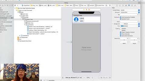 Table View: Custom Cells (Demo 3)