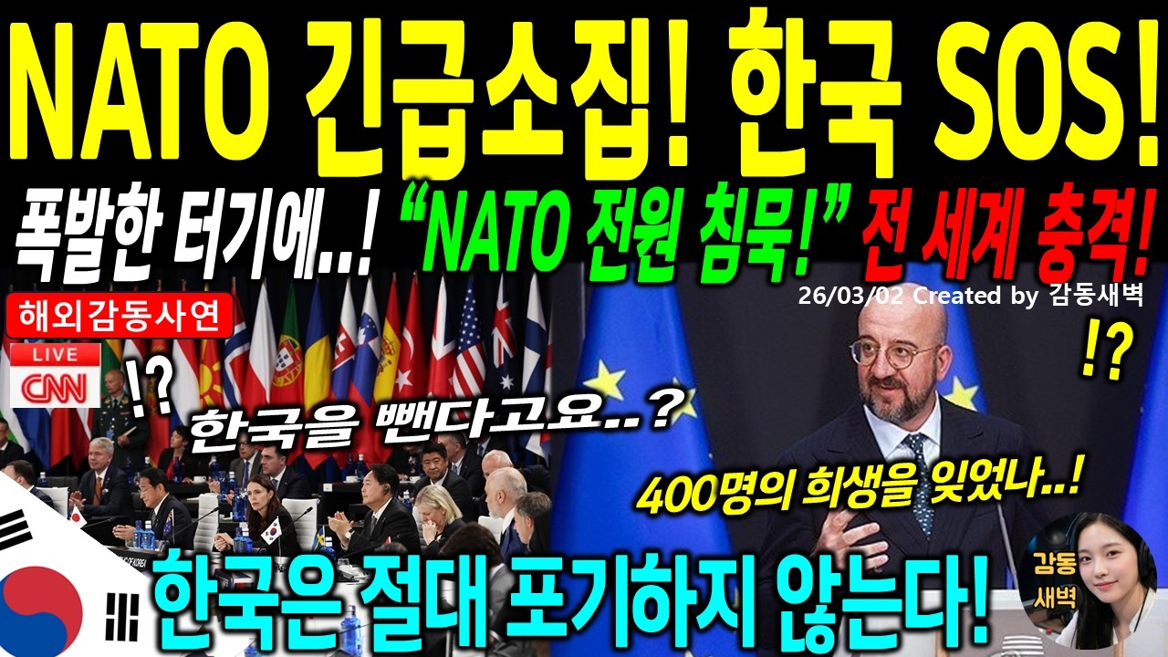 [해외감동사연] 