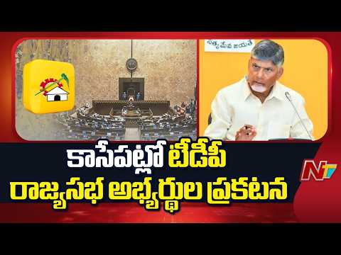 CM Chandrababu To Finalize TDP Rajyasabha Candidates | NTV Telugu - NTVTELUGU