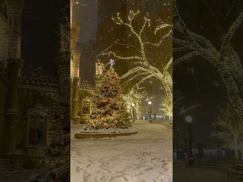 Total Snowfall In Chicago