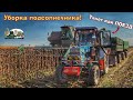 ТЮНИНГОВАННЫЙ трактор МТЗ 82.1 и ЛЕГЕНДАРНЫЙ Комбайн НИВА СК-5!Работают совместно на уборке семечки!
