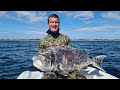 Spearfishing my pb poenskop 207kg black musselcracker