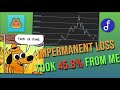 What Is Impermanent Loss & How I Lost 45.8% of My Gains to It