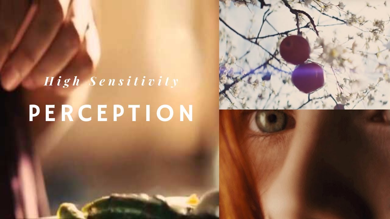 PERCEPTION • high sensitivity | Our House of Arts