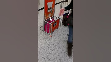 Bag which easy jet declined as carry on baggage and fined us