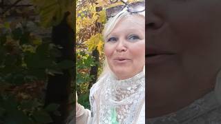 "Чорнобривці насiяла мати" . Ukrainian song #song #ukraine #shotrs