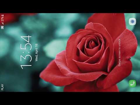 Red Rose Live Wallpaper Pro – Apps on Google Play