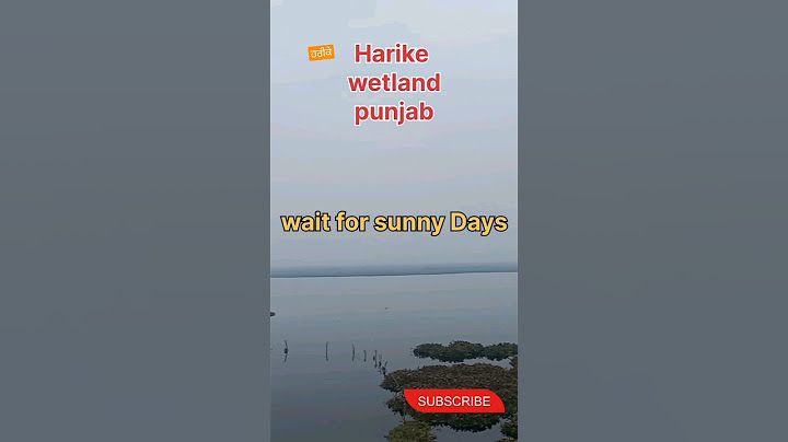 Harike wetland and bird sanctuary reviews
