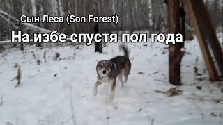 На избе спустя пол года