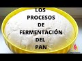 PROCESOS DE FERMENTACIÓN DEL PAN/Las TÉCNICAS DEL PAN/Capítulo 2