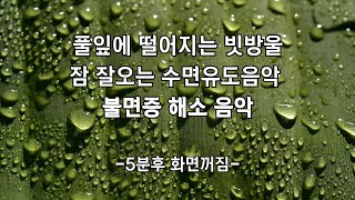 풀잎에 떨어지는 빗방울🎵잠 잘오는 수면유도음악🌙 불면증 해소 음악🎵 수면유도음악🎵 -광고없음 5분후 화면꺼짐-